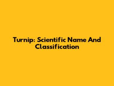 Turnip: Scientific Name And Classification