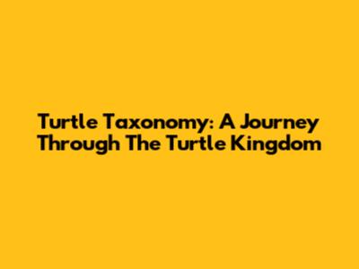 Turtle Taxonomy: A Journey Through The Turtle Kingdom