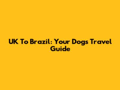 UK To Brazil: Your Dog's Travel Guide