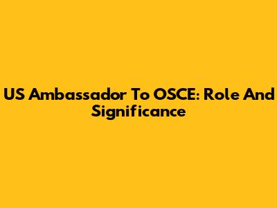 US Ambassador To OSCE: Role And Significance