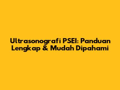 Ultrasonografi PSEI: Panduan Lengkap & Mudah Dipahami