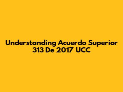 Understanding Acuerdo Superior 313 De 2017 UCC