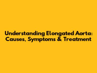 Understanding Elongated Aorta: Causes, Symptoms & Treatment