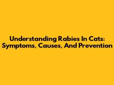 Understanding Rabies In Cats: Symptoms, Causes, And Prevention