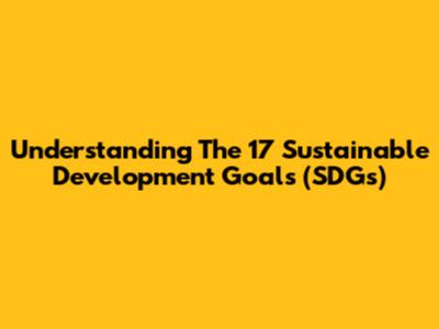 Understanding The 17 Sustainable Development Goals (SDGs)