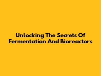Unlocking The Secrets Of Fermentation And Bioreactors