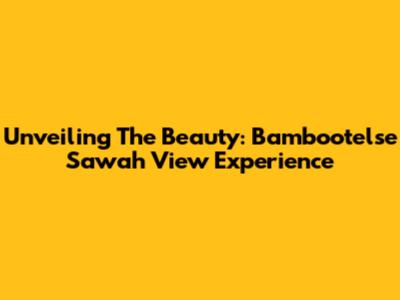 Unveiling The Beauty: Bambootelse Sawah View Experience