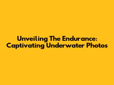 Unveiling The Endurance: Captivating Underwater Photos