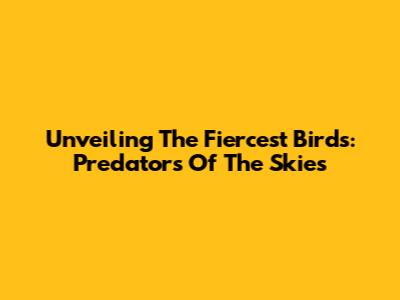 Unveiling The Fiercest Birds: Predators Of The Skies