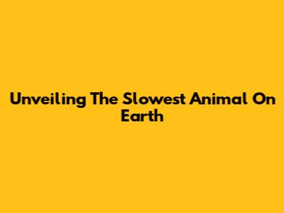 Unveiling The Slowest Animal On Earth
