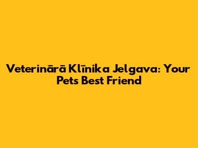 Veterinārā Klīnika Jelgava: Your Pet's Best Friend