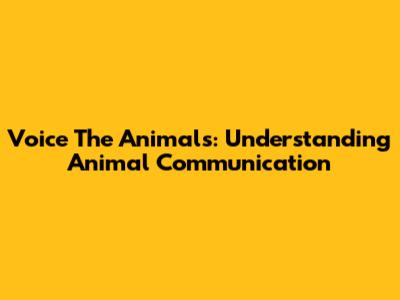 Voice The Animals: Understanding Animal Communication