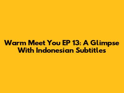 Warm Meet You EP 13: A Glimpse With Indonesian Subtitles