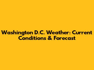 Washington D.C. Weather: Current Conditions & Forecast