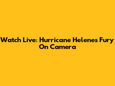 Watch Live: Hurricane Helene's Fury On Camera