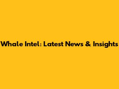 Whale Intel: Latest News & Insights