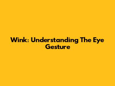 Wink: Understanding The Eye Gesture