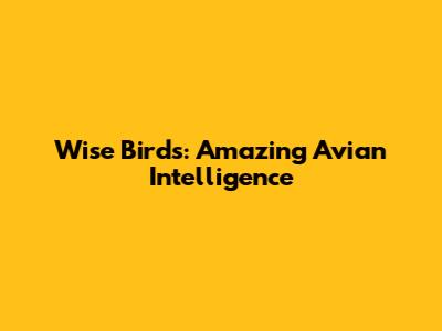 Wise Birds: Amazing Avian Intelligence