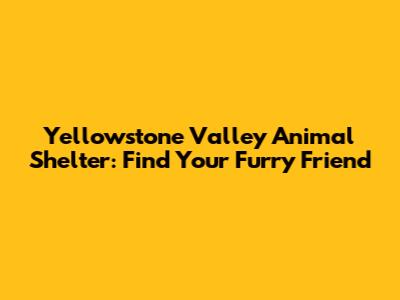 Yellowstone Valley Animal Shelter: Find Your Furry Friend